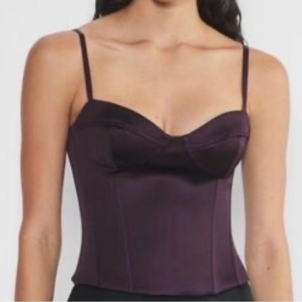 Aritzia Plum Purple Corset Top New Without Tags